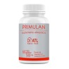 PRIMULAN